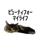 うちのゲベナマいんぐりっしゅ（個別スタンプ：10）