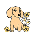 子犬と花（個別スタンプ：12）