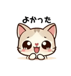 毎日使える＊ねこちゃんスタンプ（個別スタンプ：20）