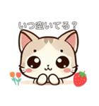 毎日使える＊ねこちゃんスタンプ（個別スタンプ：35）