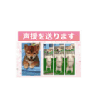 我々動物連盟は代弁するvol.4動く！犬殿下（個別スタンプ：11）