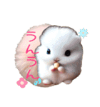 ふわふわもこもこ動物の赤ちゃんスタンプAI（個別スタンプ：20）