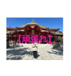神社ビギナー✨✨✨✨✨✨✨（個別スタンプ：7）
