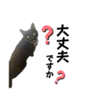保護猫出身くろねこジジさんスタンプ（個別スタンプ：21）