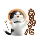 黒白ハチワレねこスタンプ（個別スタンプ：6）