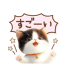 黒白ハチワレねこスタンプ（個別スタンプ：7）