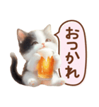 黒白ハチワレねこスタンプ（個別スタンプ：12）