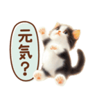 黒白ハチワレねこスタンプ（個別スタンプ：20）