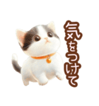 黒白ハチワレねこスタンプ（個別スタンプ：35）
