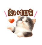 黒白ハチワレねこスタンプ（個別スタンプ：38）