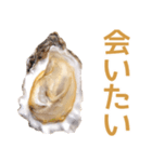 生ガキde日常会話【ネタ・面白い】（個別スタンプ：1）