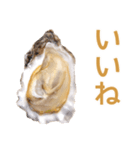 生ガキde日常会話【ネタ・面白い】（個別スタンプ：4）