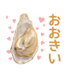 生ガキde日常会話【ネタ・面白い】（個別スタンプ：7）