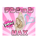 生ガキde日常会話【ネタ・面白い】（個別スタンプ：11）