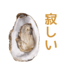生ガキde日常会話【ネタ・面白い】（個別スタンプ：13）