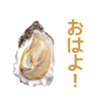 生ガキde日常会話【ネタ・面白い】（個別スタンプ：21）