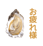 生ガキde日常会話【ネタ・面白い】（個別スタンプ：23）