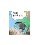 【日常会話】動く！ラグドール＆ハリネズミ（個別スタンプ：10）