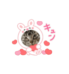 しろねこミータと妹たち（個別スタンプ：4）