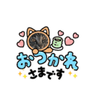 しまファミリー♡（個別スタンプ：7）