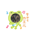 しまファミリー♡（個別スタンプ：12）