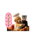 動く！クッキング⭐︎レトリバー（個別スタンプ：1）