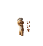 動く！クッキング⭐︎レトリバー（個別スタンプ：24）