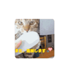 アタチちまき（個別スタンプ：3）