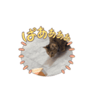 アタチちまき（個別スタンプ：11）