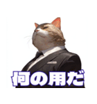 マフィア猫（個別スタンプ：2）