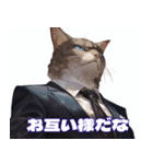 マフィア猫（個別スタンプ：4）