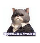 マフィア猫（個別スタンプ：5）