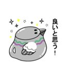 動く！トリちゃんポット（個別スタンプ：10）