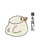動く！トリちゃんポット（個別スタンプ：16）