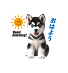 わんぱくなハスキー犬の子犬のスタンプ（個別スタンプ：1）