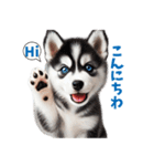 わんぱくなハスキー犬の子犬のスタンプ（個別スタンプ：3）