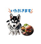 わんぱくなハスキー犬の子犬のスタンプ（個別スタンプ：6）