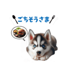 わんぱくなハスキー犬の子犬のスタンプ（個別スタンプ：7）