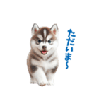 わんぱくなハスキー犬の子犬のスタンプ（個別スタンプ：8）