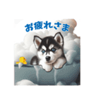 わんぱくなハスキー犬の子犬のスタンプ（個別スタンプ：10）