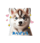 わんぱくなハスキー犬の子犬のスタンプ（個別スタンプ：13）