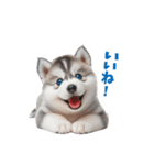 わんぱくなハスキー犬の子犬のスタンプ（個別スタンプ：15）