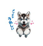 わんぱくなハスキー犬の子犬のスタンプ（個別スタンプ：16）