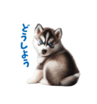 わんぱくなハスキー犬の子犬のスタンプ（個別スタンプ：20）