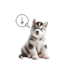 わんぱくなハスキー犬の子犬のスタンプ（個別スタンプ：26）