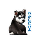 わんぱくなハスキー犬の子犬のスタンプ（個別スタンプ：27）