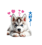 わんぱくなハスキー犬の子犬のスタンプ（個別スタンプ：35）