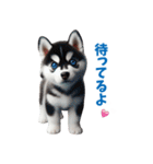わんぱくなハスキー犬の子犬のスタンプ（個別スタンプ：36）