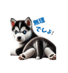 わんぱくなハスキー犬の子犬のスタンプ（個別スタンプ：37）