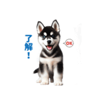 わんぱくなハスキー犬の子犬のスタンプ（個別スタンプ：40）